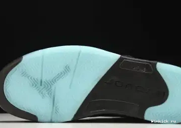 5 Aqua Jordan Air 0516